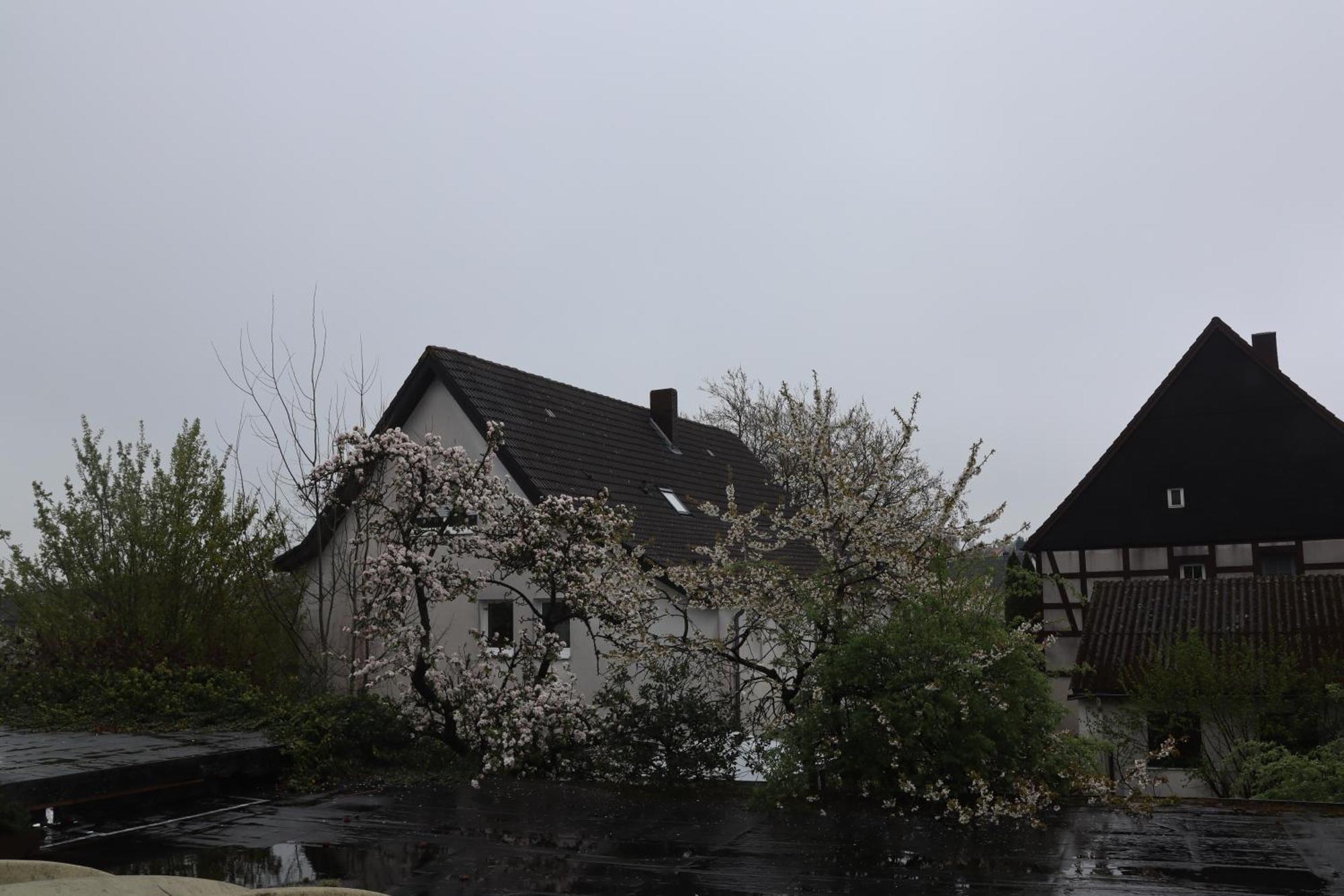 Hotel Haarener Hof Bad Wünnenberg エクステリア 写真